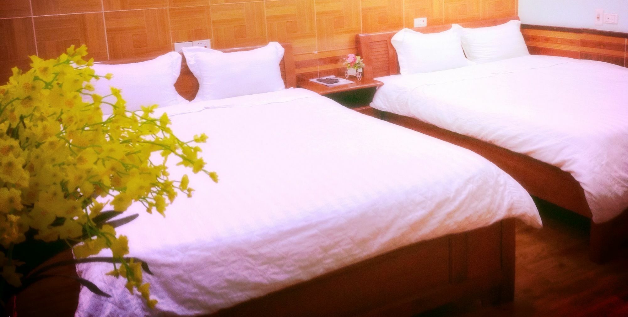 Noi Bai Family Homestay Extérieur photo